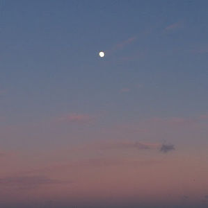 Meet your Posher, Alexa